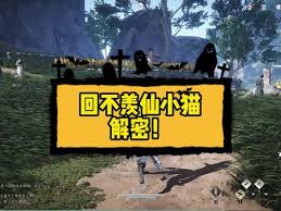 燕云十六声哪里找猫咪