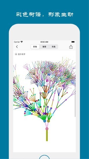 族记家谱4