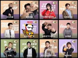 B站2024百大UP名单一览