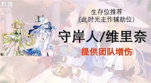 鸣潮菲比如何搭配队伍提升输出