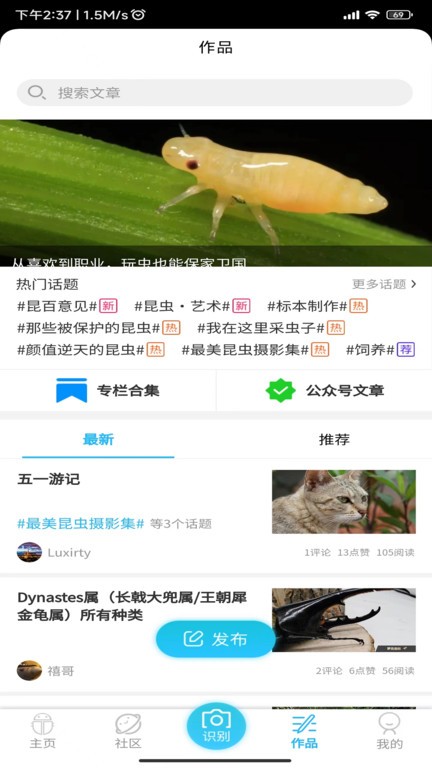 昆虫百科4
