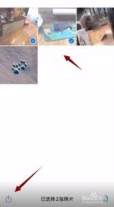 苹果手机照片如何拼图发送