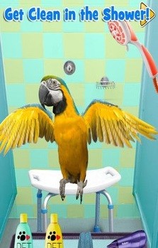 新生宠物兽医1