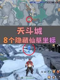 斗罗大陆猎魂世界仙草位置在哪里