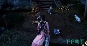 燕云十六声将军祠猫咪位置在哪