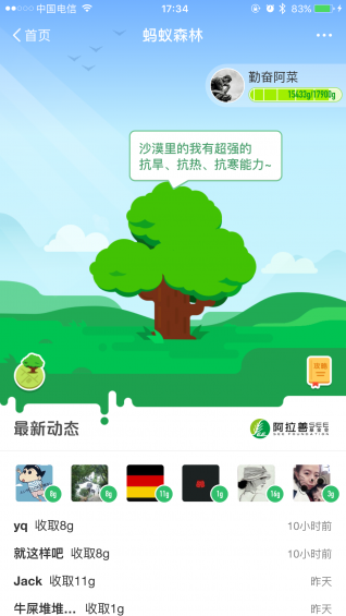 支付宝能量自动收取插件1