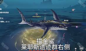 鸣潮老人鱼海活动怎么玩