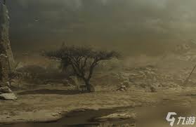 怪物猎人荒野地图面积广阔吗