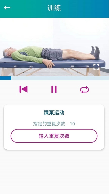 捷行伴侣4