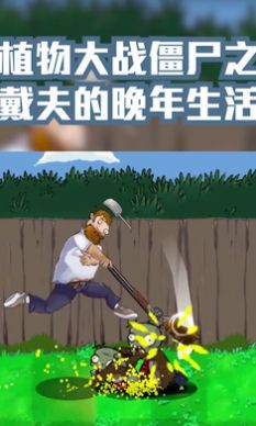 戴夫的晚年生活3
