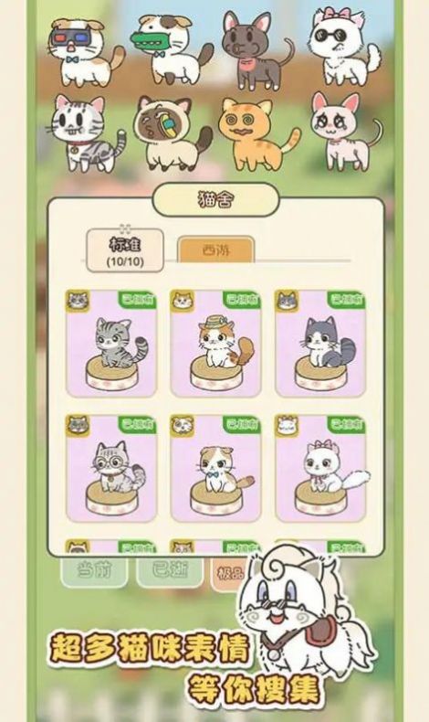 找下猫1