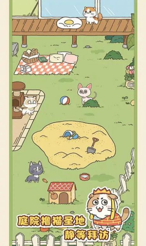 找下猫2