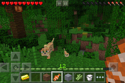 我的世界java版（Minecraft）2