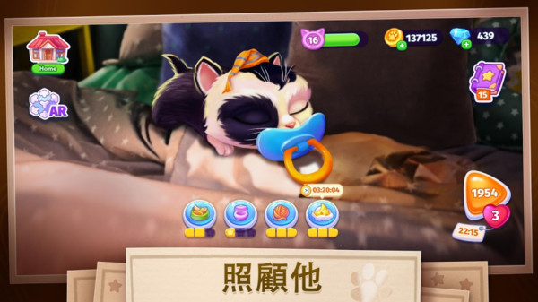 我的可爱猫咪2