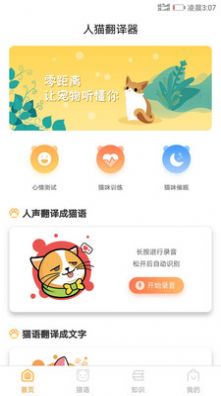 抖音爆火的猫咪情绪识别1