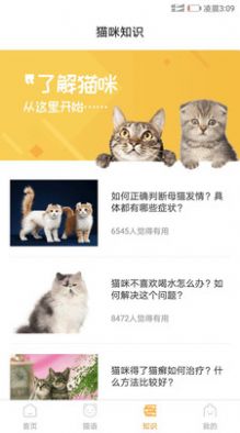 抖音爆火的猫咪情绪识别3