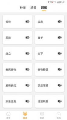 抖音爆火的猫咪情绪识别4