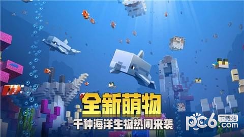 我的世界1.1.5.1版3