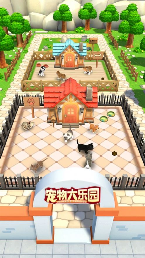 我的小猫咪养成记2