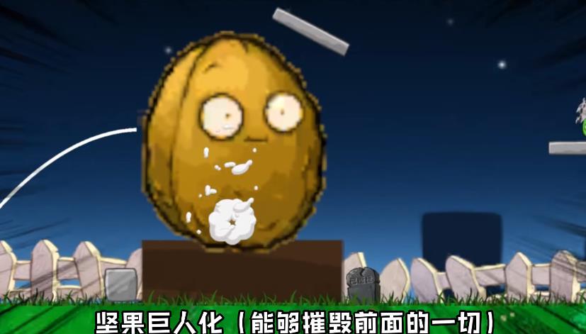 愤怒的植物大战僵尸猪22