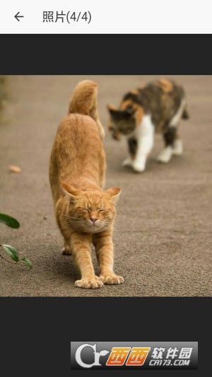 小励日记1