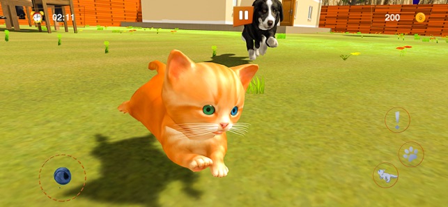 我的小猫小猫战士猫1