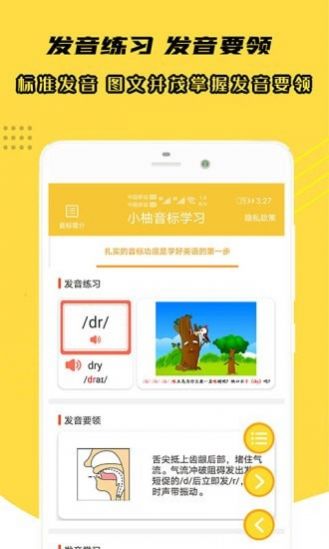 小柚音标3