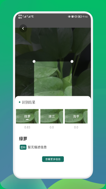 小园丁2