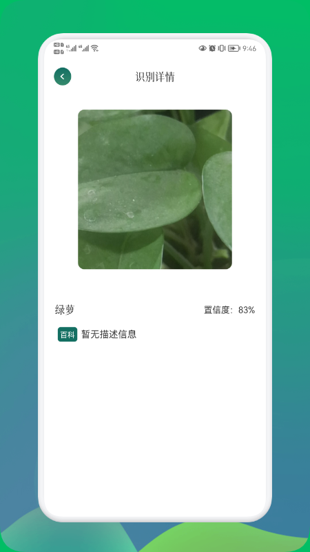 小园丁3