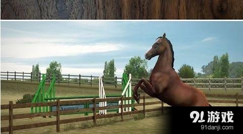我的马 My Horse2