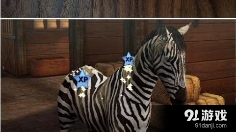 我的马 My Horse5