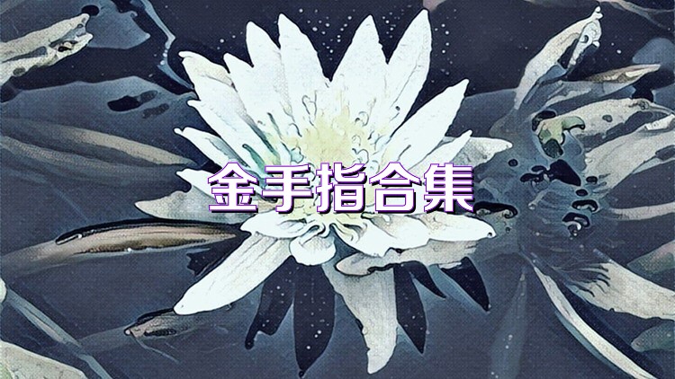 金手指合集