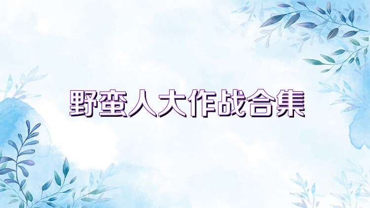 野蛮人大作战合集