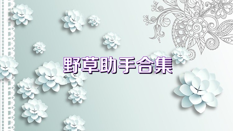 野草助手合集