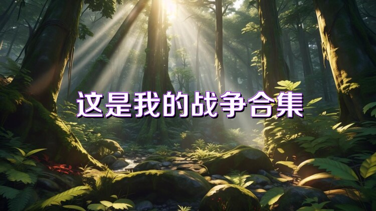 这是我的战争合集
