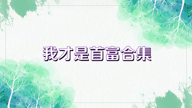 我才是首富合集