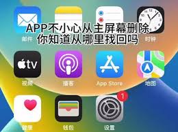 如何在iPhone中撤消从主屏幕删除