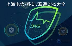 原来上海电信的dns解析服务器是哪个