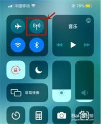 苹果手机如何打开数据流量
