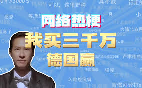 我买三千万德国赢是什么含义