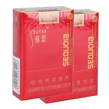 原来的小苏和大苏有何区别