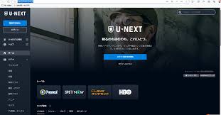 日本有什么视频网站