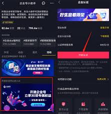 开通抖音蓝V认证需要多少钱