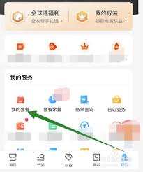 中国移动如何进行套餐更改全解析
