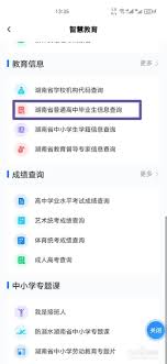 湘易办如何查询入学