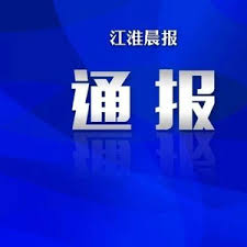安徽洋娃娃案最新详情解析