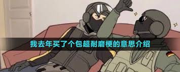 (我去年买了个包这句话)是什么意思