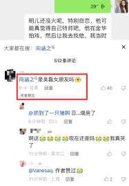 向涵之王安宇是真的吗