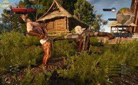 巫师3泰莫利亚人的珍宝支线怎么过