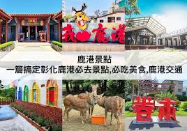 鹿心杜的家庭背景是什么